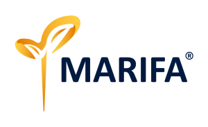 logo-Marifa-Registered